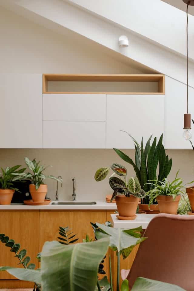 plantas para baños y cocinas