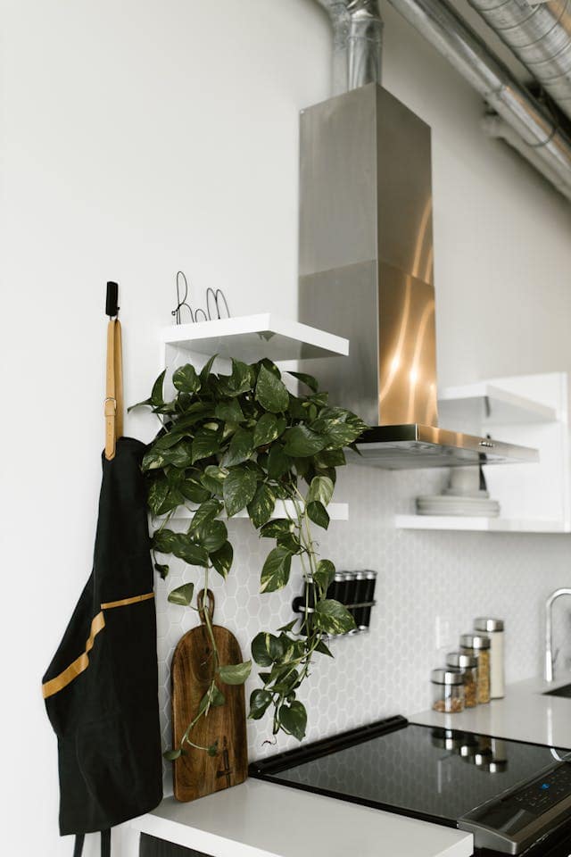 plantas colgantes